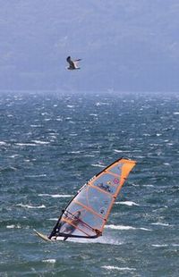 2013  「愛」を見た夏の終り・・沼津島郷海岸_f0211837_20135692.jpg