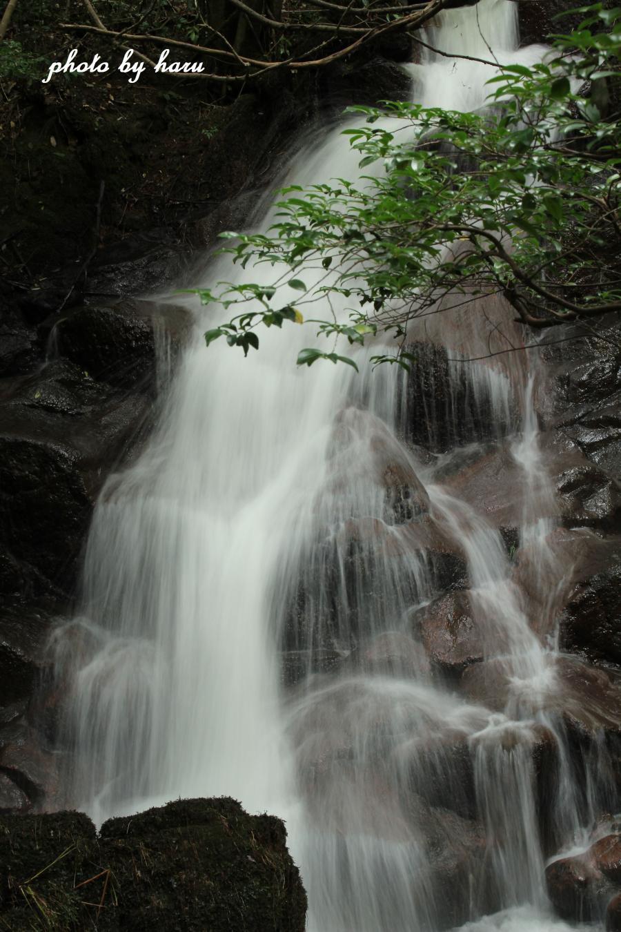 f0297537_17141562.jpg