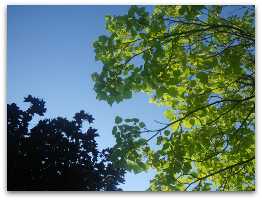 d0227344_8111287.png