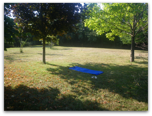 d0227344_8115184.png