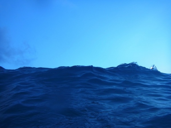 f0229844_2019280.jpg