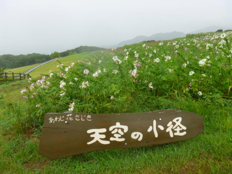 雨の 淡路島 あわじ花さじき テトラの徒然日記