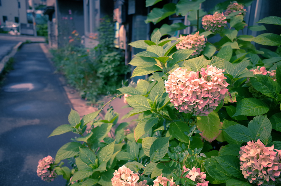 c0162846_1731938.jpg