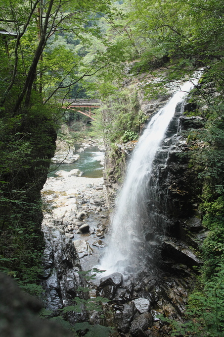 c0008948_203733.jpg