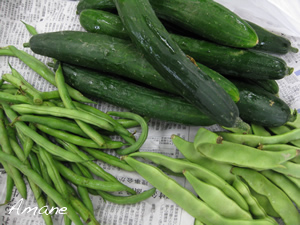 毎日が野菜の日_e0262651_20154151.png