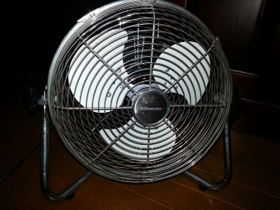 過保護_a0157156_21414019.jpg