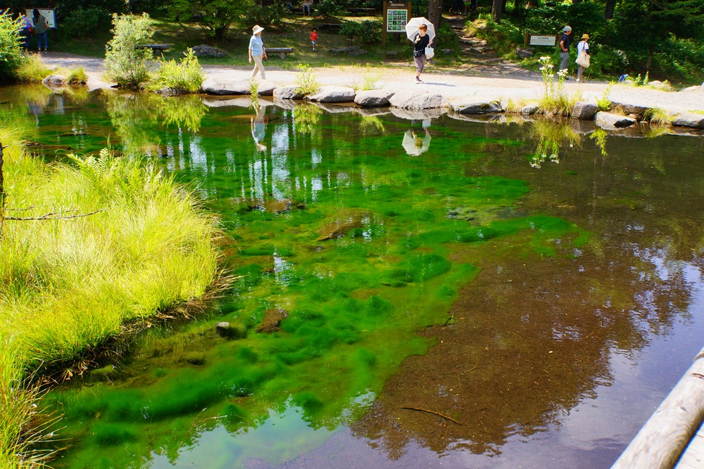 water（長野県立科町　蓼科御泉水自然園）_e0223456_1165063.jpg