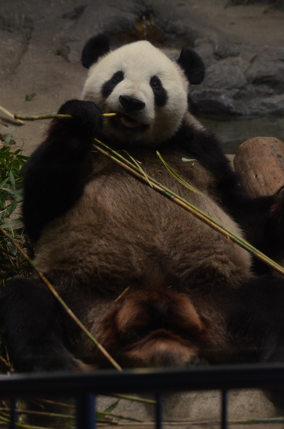 b0286966_2317575.jpg