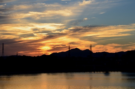 狭山池公園　朝の風景_c0229483_7471426.jpg