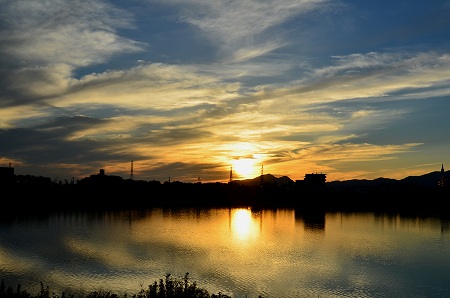 狭山池公園　朝の風景_c0229483_845438.jpg