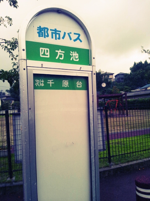 道案内(後編)と久々の子めだか孵化と台風終了_c0246783_1826919.jpg