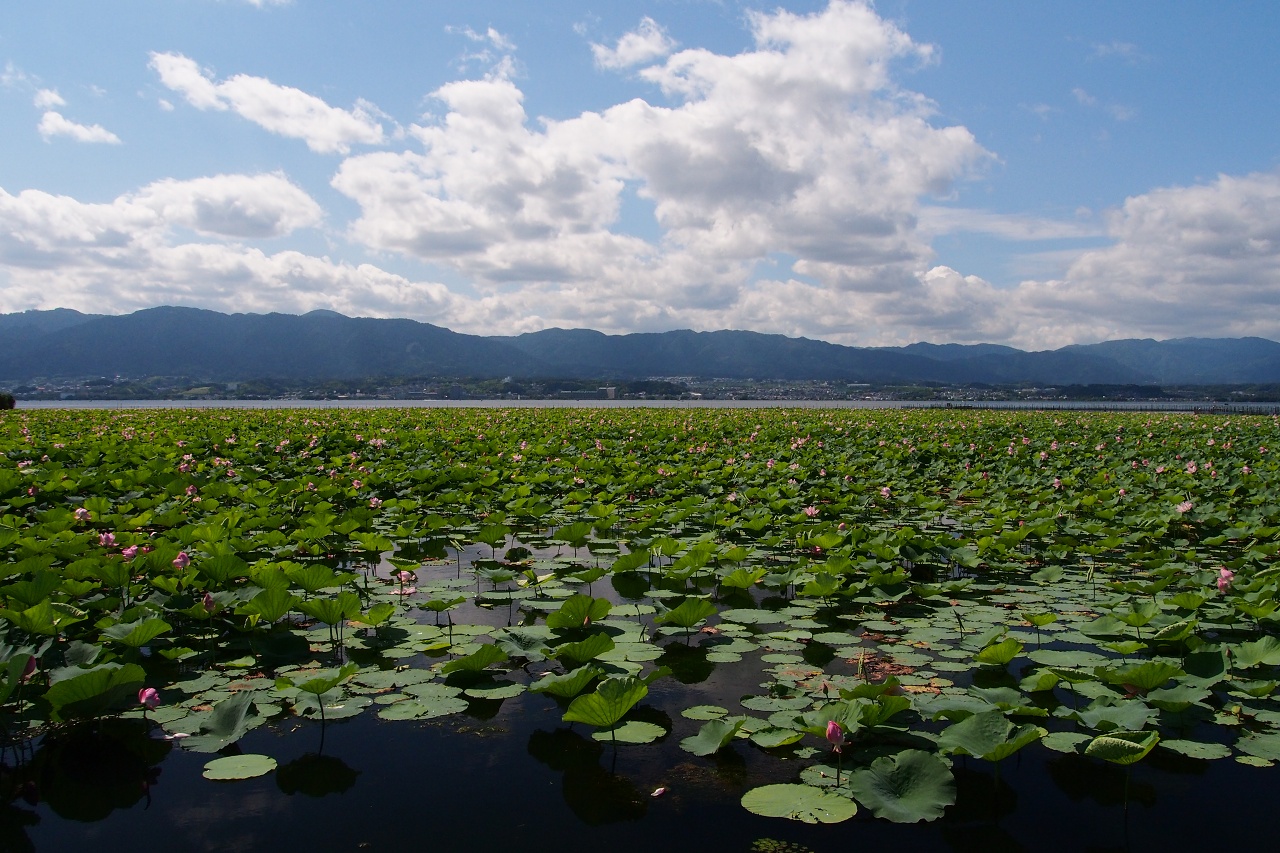 琵琶湖東岸_c0022089_2045689.jpg