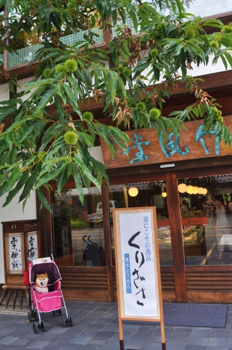 戸隠キャンプ2013⑩ 赤倉のカフェテラス_a0126590_5161277.jpg