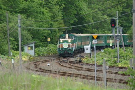 d0181492_23522483.jpg