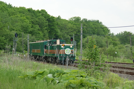 d0181492_23525097.jpg