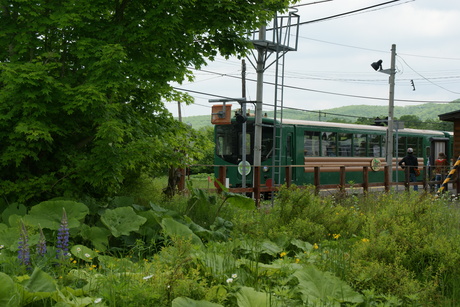d0181492_23531998.jpg
