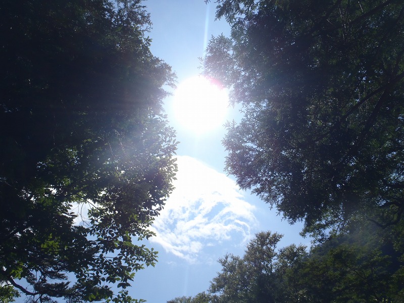 弥山国見八方覗から御来光 (^_^)/~ day2_c0147398_18305967.jpg