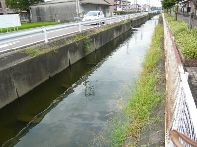 c0024502_15331339.jpg