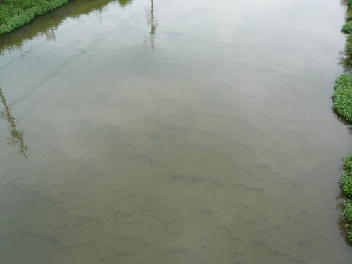 c0024502_1534521.jpg