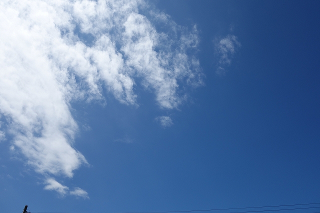 b0147203_2141460.jpg