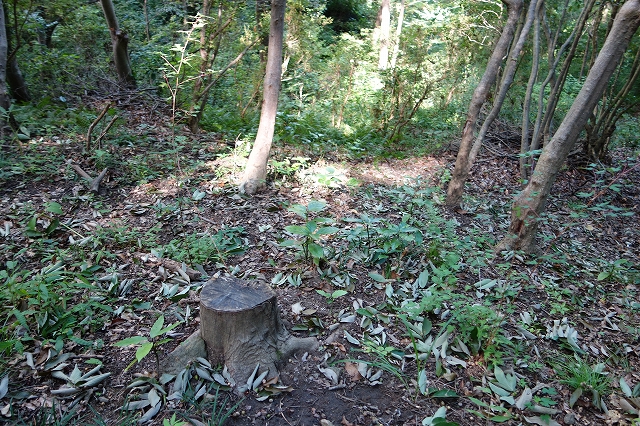 b0147203_214423100.jpg