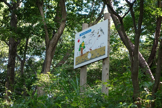 b0147203_2146271.jpg