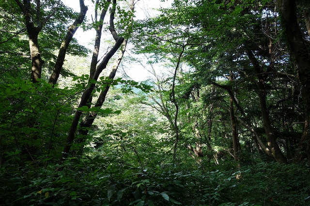 b0147203_2146338.jpg