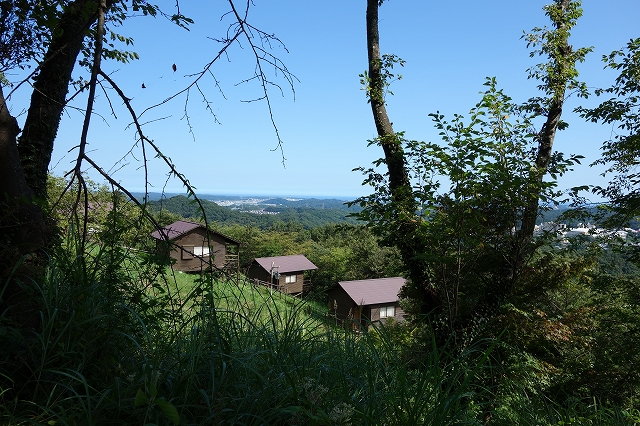 b0147203_21464185.jpg