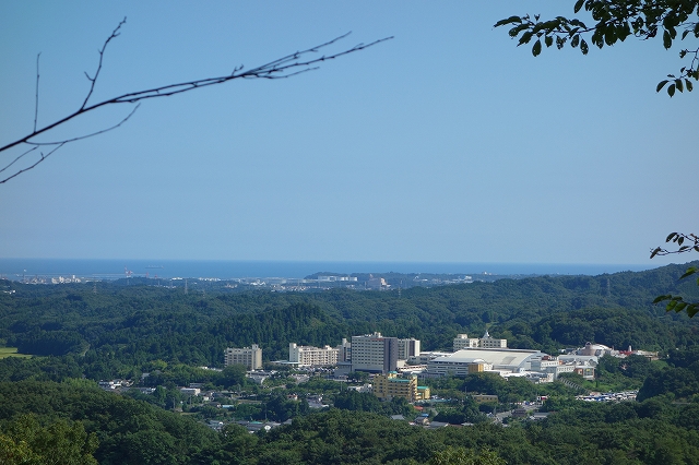 b0147203_21465962.jpg