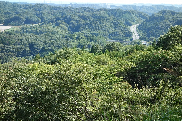 b0147203_21471031.jpg