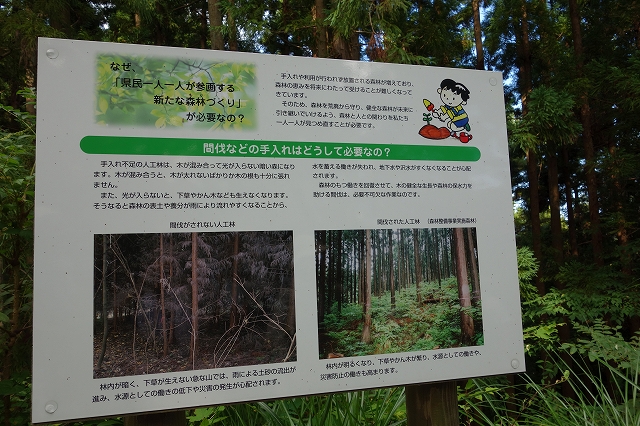 b0147203_21472945.jpg