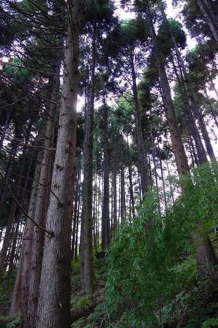 b0147203_21481028.jpg