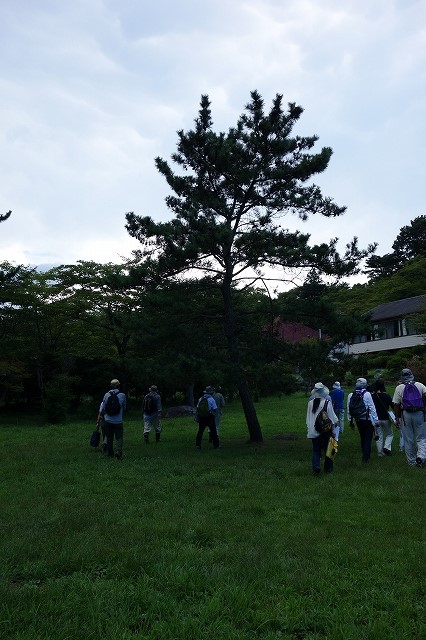 b0147203_2149468.jpg