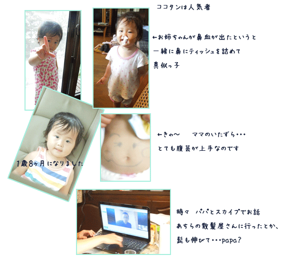 c0051105_005085.gif