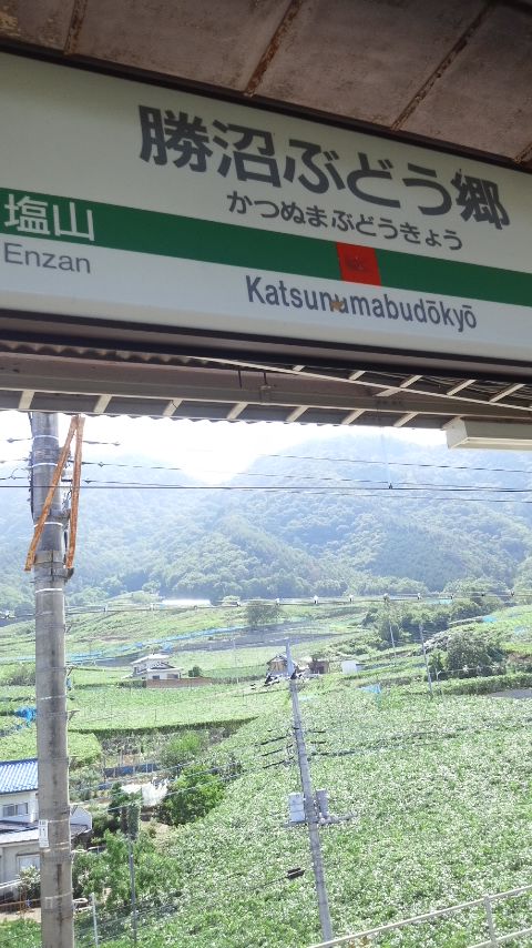 f0155808_10542019.jpg