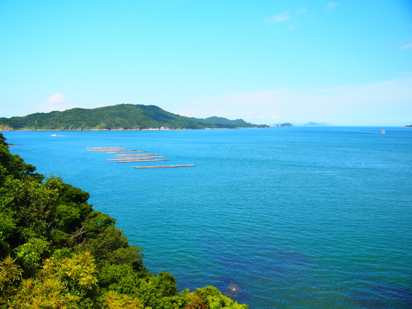 c0186410_1763684.jpg