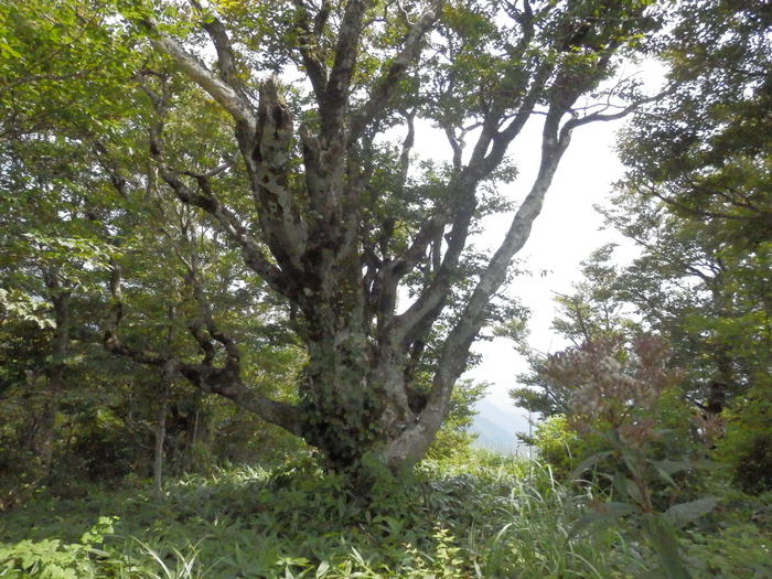 f0219710_10513129.jpg