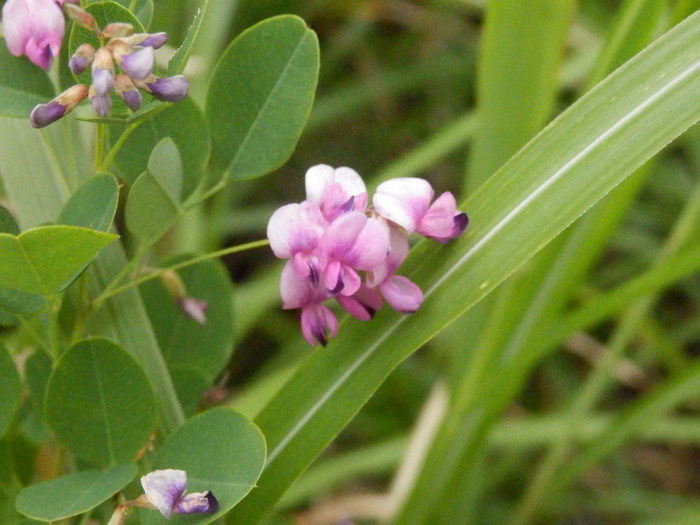 f0219710_10525931.jpg