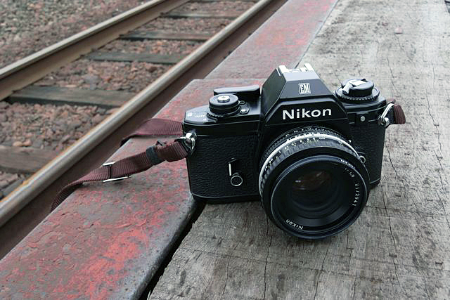 かわうそと愉快な仲間達1〜NIKON EM : efke fan (かわうそ かわうそと愉快な仲間達1〜NIKON EM : efke fan (かわうそ