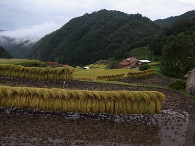 b0131012_17555747.jpg