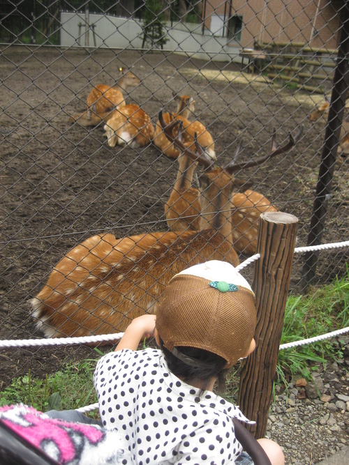 円山動物園へ☺_e0208214_8321937.jpg