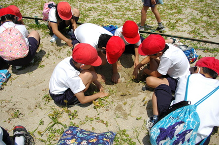 箱作小学校５年学年交流会サポートin　せんなん里海公園_a0316716_2238162.jpg