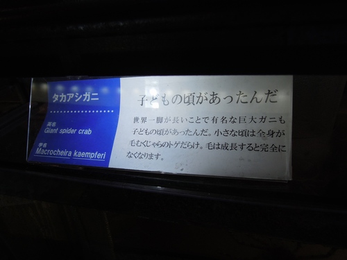 e0166016_20363860.jpg