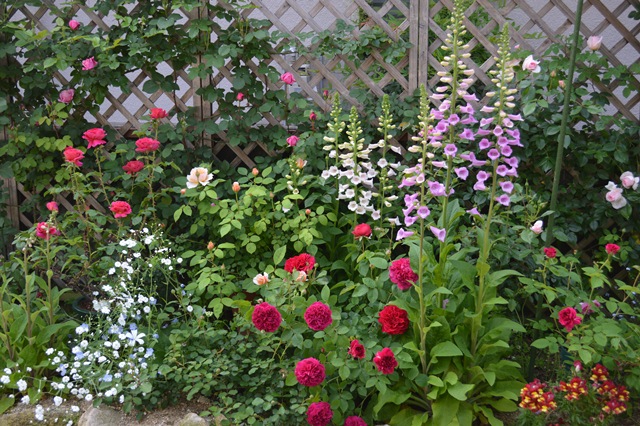 d0096422_1349786.jpg