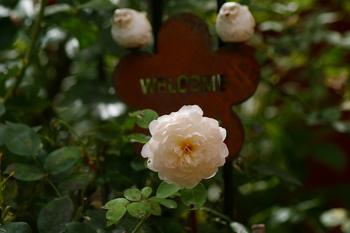 f0170524_1855337.jpg