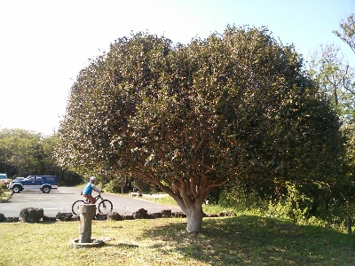 d0023725_1492040.jpg