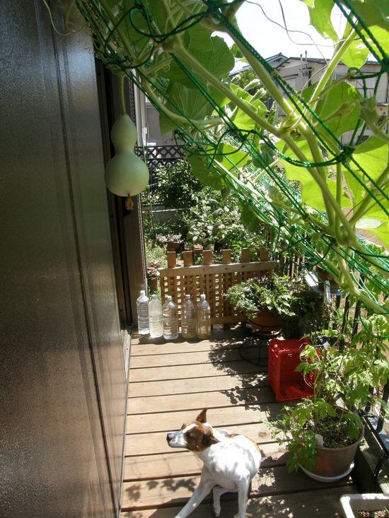 e0204927_1625333.jpg