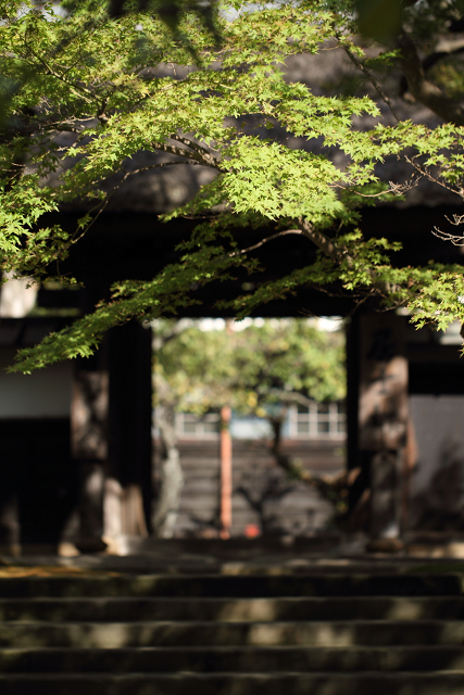 鎌倉散歩　#36 －初秋の北鎌倉巡り（円覚寺・中編）－_b0169330_23545855.jpg