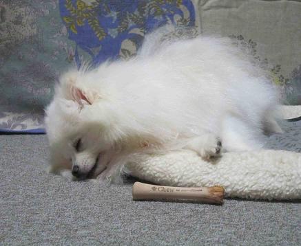 眠い・・・_b0177436_22114161.jpg
