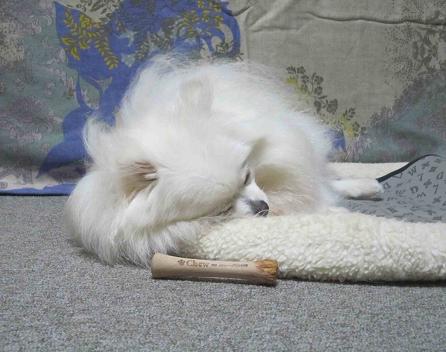 眠い・・・_b0177436_2212395.jpg